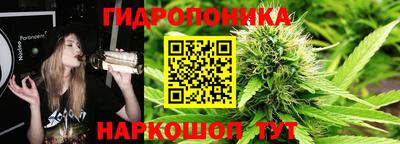 спайс Будённовск