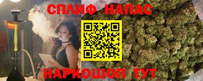 спайс Будённовск