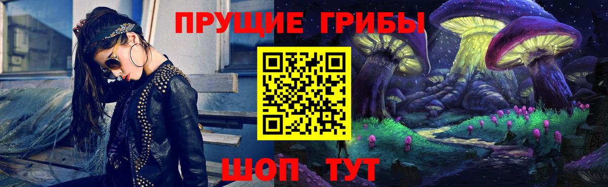 Карабулак  Псилоцибиновые грибы Cubensis  Вход с VPN 